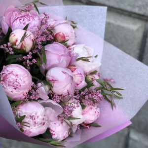 17 пионов с зеленью и упаковкой